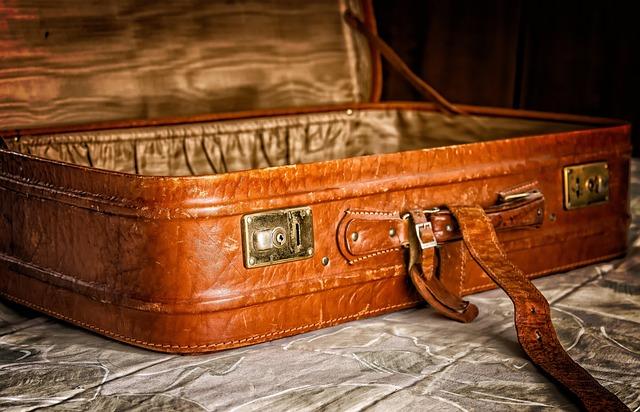 Best Luggage – Samsonite Omni PC 20″ Spinner Review