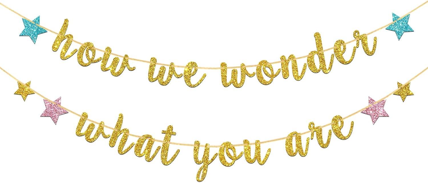 Best Baby Shower Decoration – Deloklte Gender Reveal Banner Review