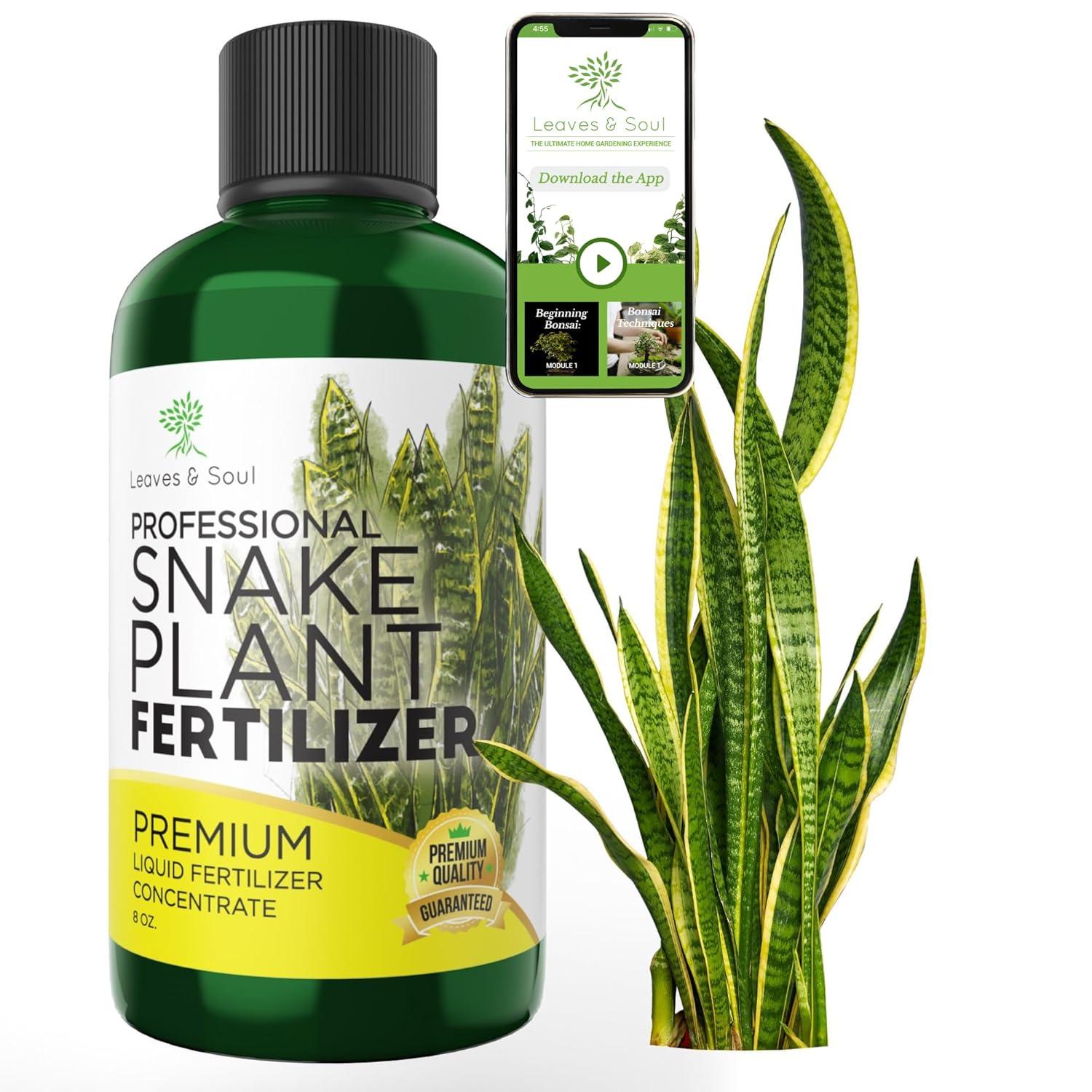 Best Multi-Purpose Fertilizer – Professional Liquid Snake Plant Review