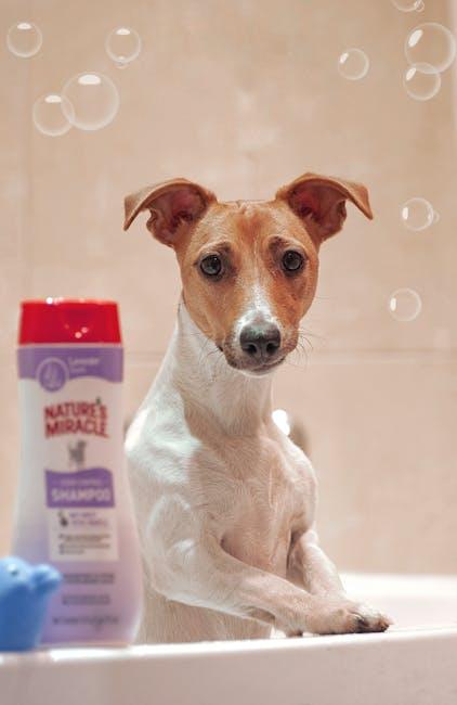 Best Dog Shampoo – PetClean Pro Wash Review