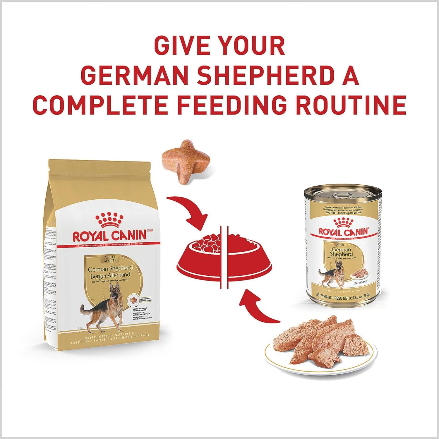 Best Dog Food – Royal Canin Breed Health Nutrition German Shepherd Adult Dry Dog Food, 30 lb Bag Review