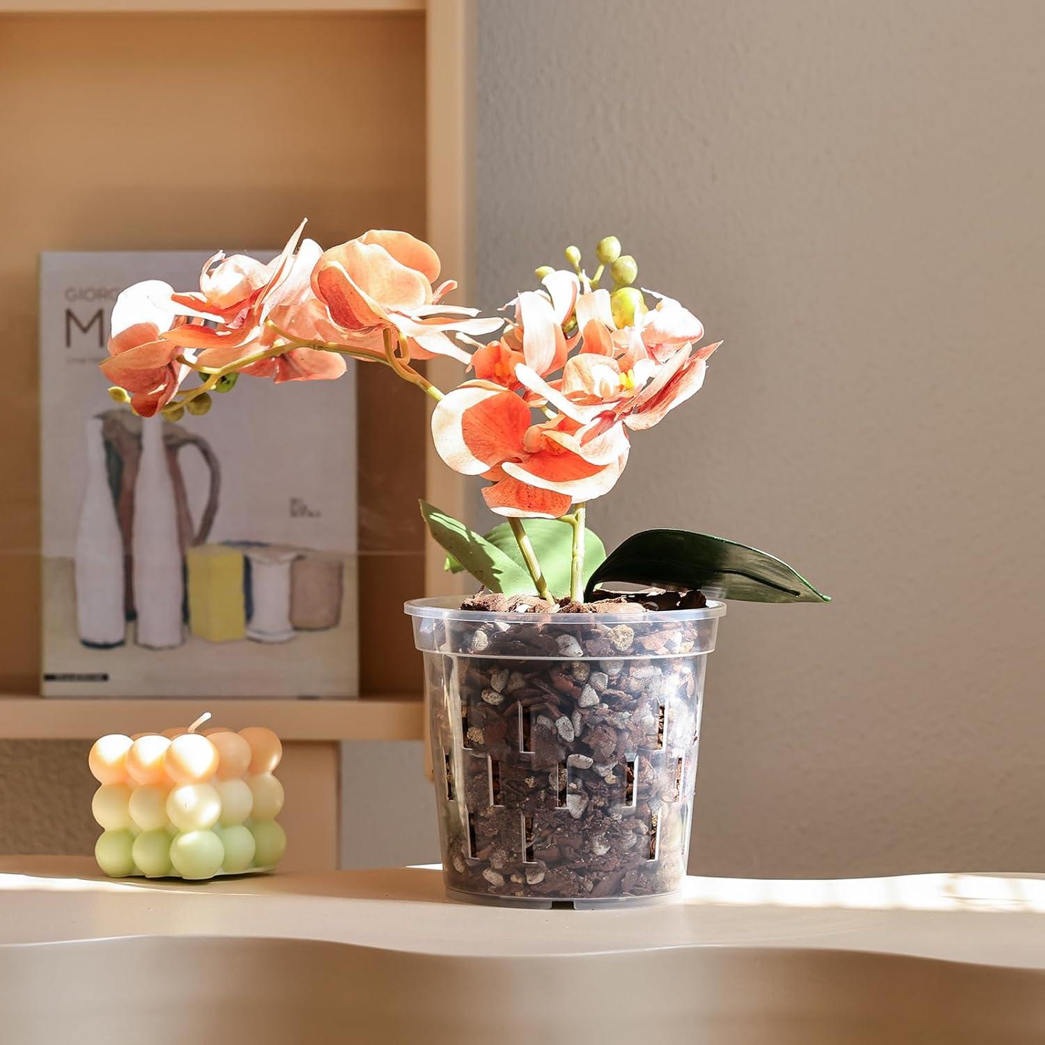 Best Orchid Pots – TRUEDAYS Orchid Pot – 4 Pack 5 Inch Clear Review