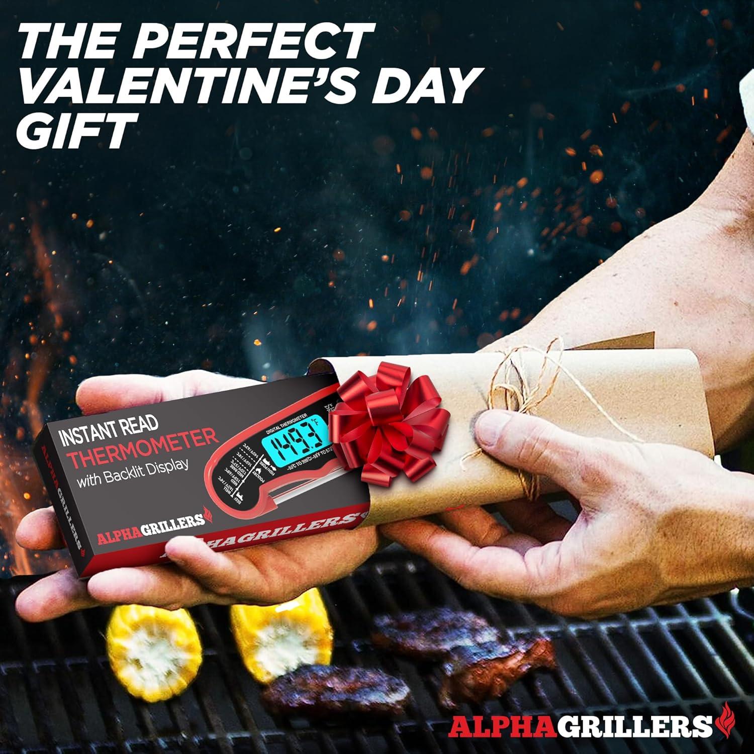 Best Instant Read Thermometer – Alpha Grillers Review