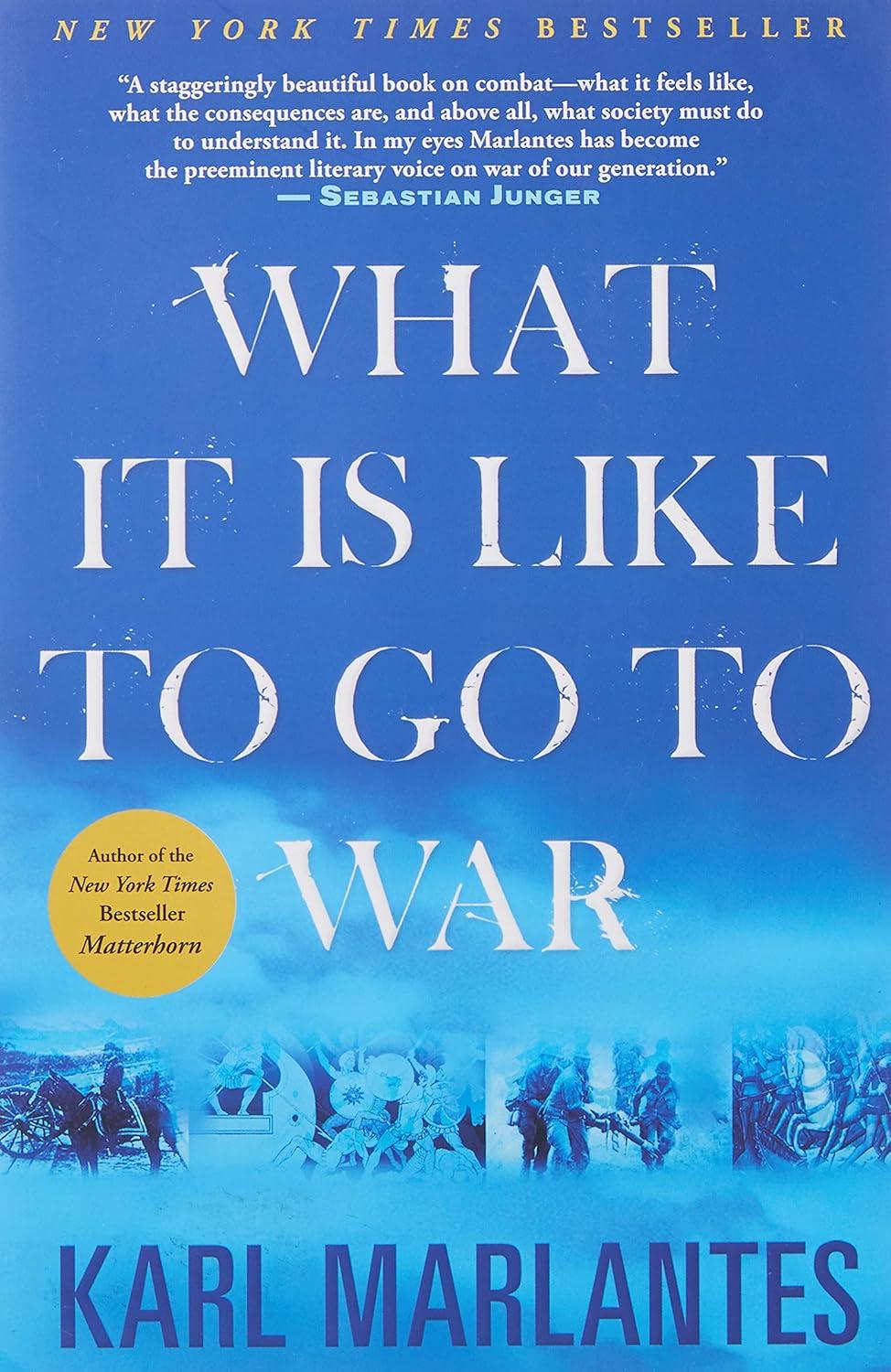 Best Memoir – What It Is Like To Go To War Review