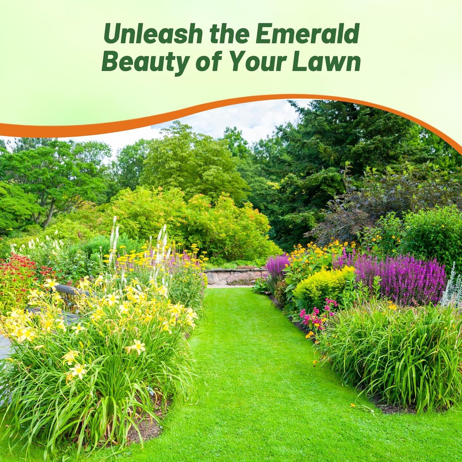 Best Lawn Seed – Outsidepride Legacy Fine Fescue Mix Review