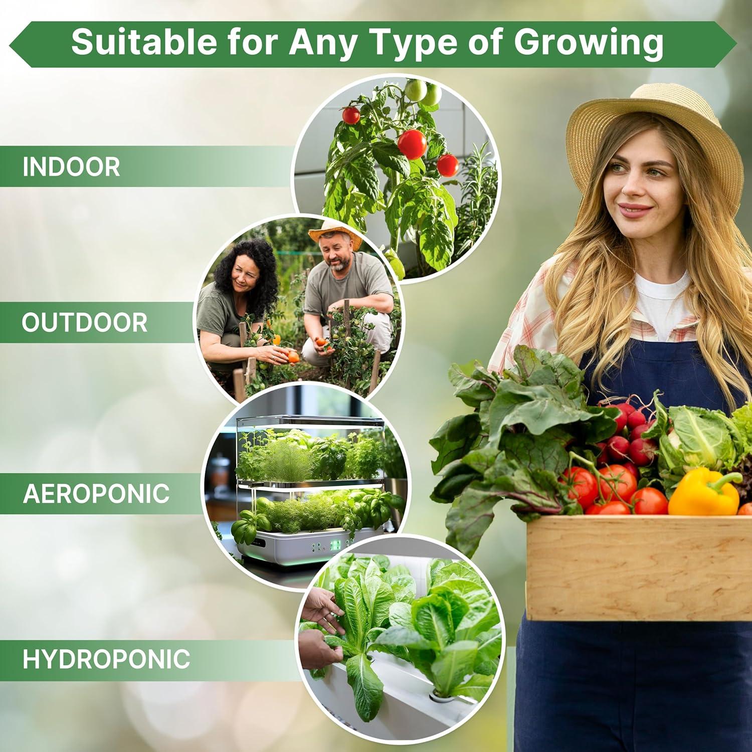 Best Vegetable Seeds – 55 Variety Pack – 35,600+ Non-GMO Heirloom Review