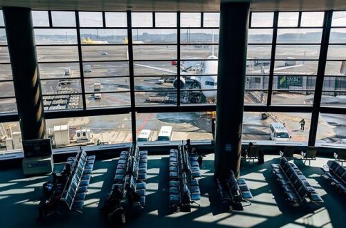 What airlines have the best rewards programs for free flights and travel perks