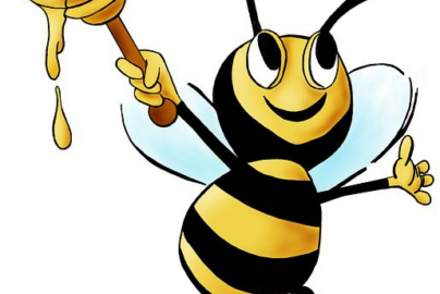 What’s the Best Honey to Buy for Better Flavor and Health Benefits