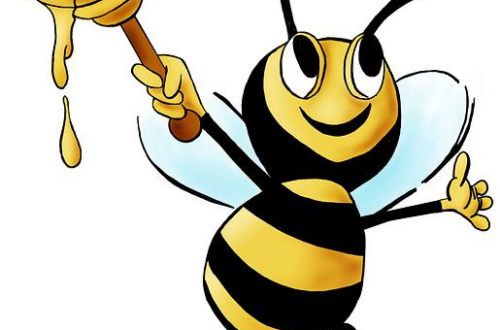 What’s the Best Honey to Buy for Better Flavor and Health Benefits