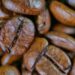Which Coffee Bean Is the Best for Your Perfect Morning Brew?